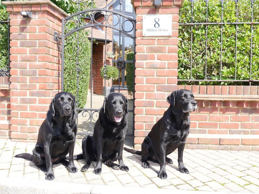 Millers House Boutique B&B Emsworth Dış mekan fotoğraf