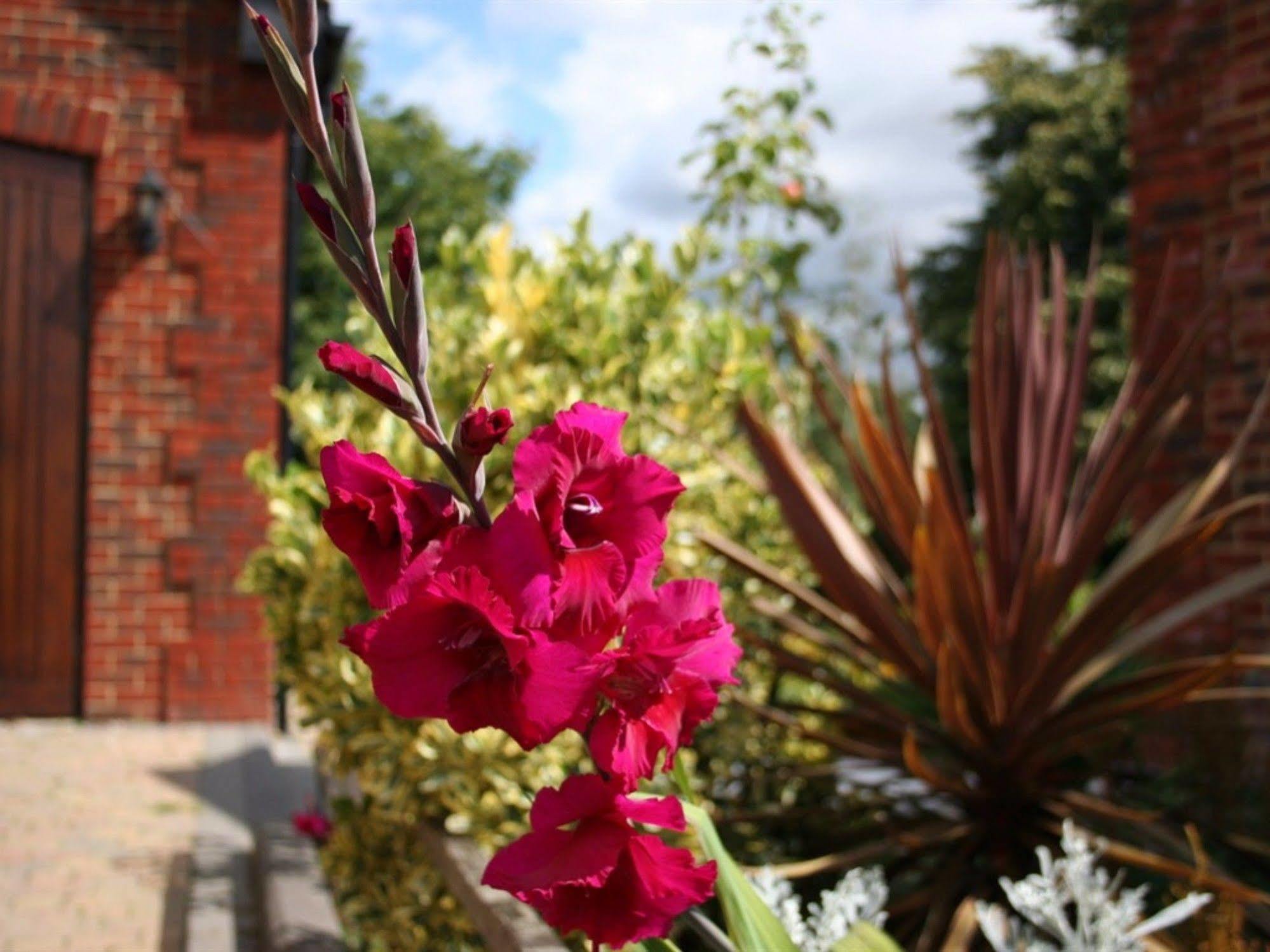 Millers House Boutique B&B Emsworth Dış mekan fotoğraf